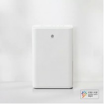 Осушитель воздуха New Widetech Wisdom Internet Dehumidifier 12L (White/Белый)
