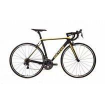 QiCycle R1c Team Limited Edition (Black)